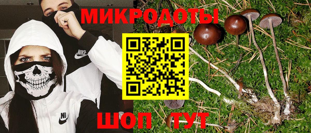 Бахчисарай  Галлюциногенные грибы прущие грибы  Вход с VPN 